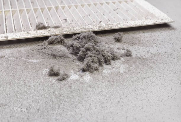 Best Air Duct Cleaning Near Me  in Grant Park, IL