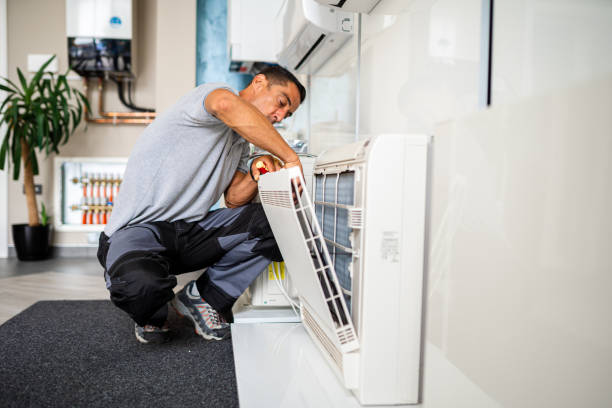 Best Air Duct Mold Removal  in Grant Park, IL
